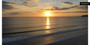 Ving_Sverige_Fokus24.se_6104