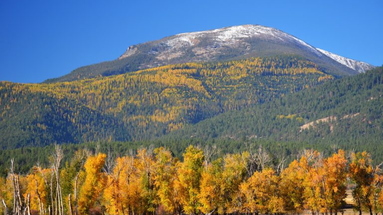 Var kan man se Yellowstone säsong 5?